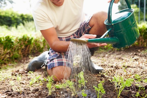 Selection and care of native plants in Willesden