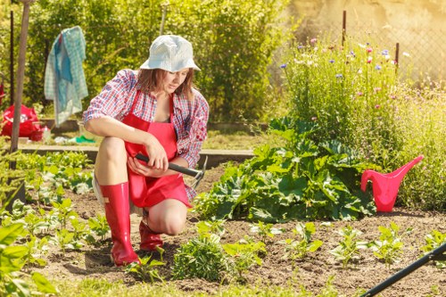Deck maintenance and repair services
