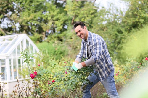 Understanding climate for garden maintenance in Willesden