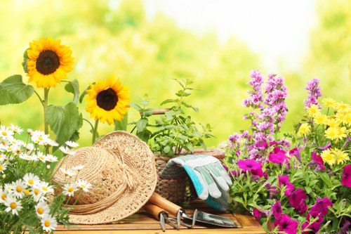 Sustainable landscaping with native plants