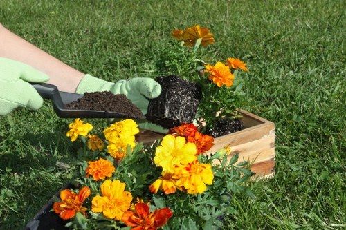 Spring garden clearance activities in Willesden